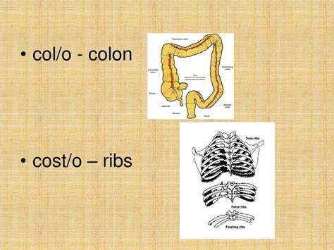 col medical abbreviation.
